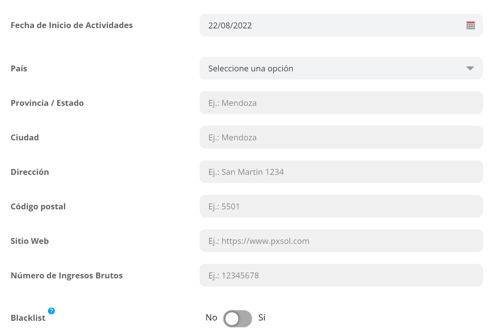 Detalles adicionales de la carga avanzada para contacto tipo empresa.