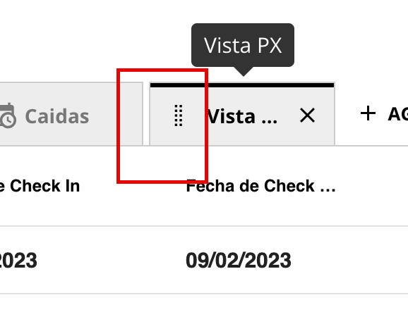 Menú de vistas con vista personalizada y opción de reordenar