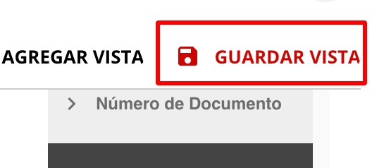 Botón 'Guardar Vista' resaltado.