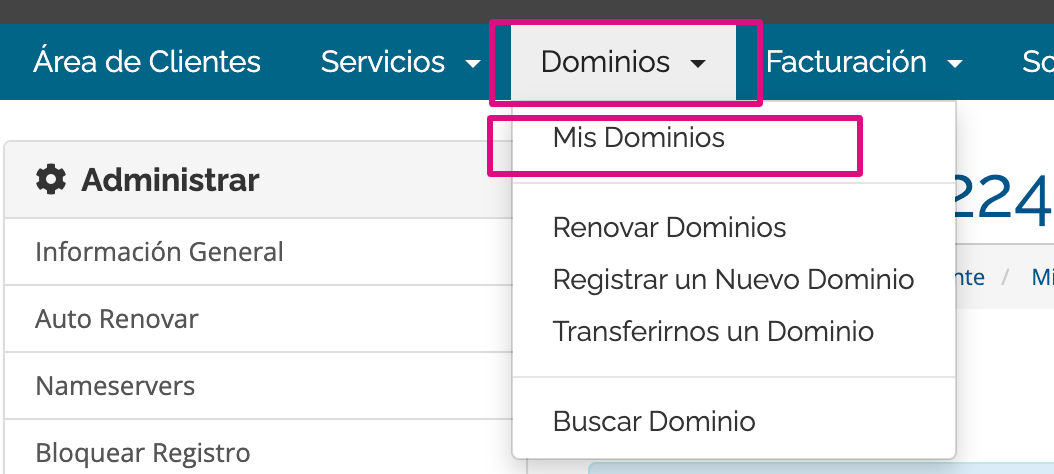 Captura de pantalla del menú Dominios en Wiroos