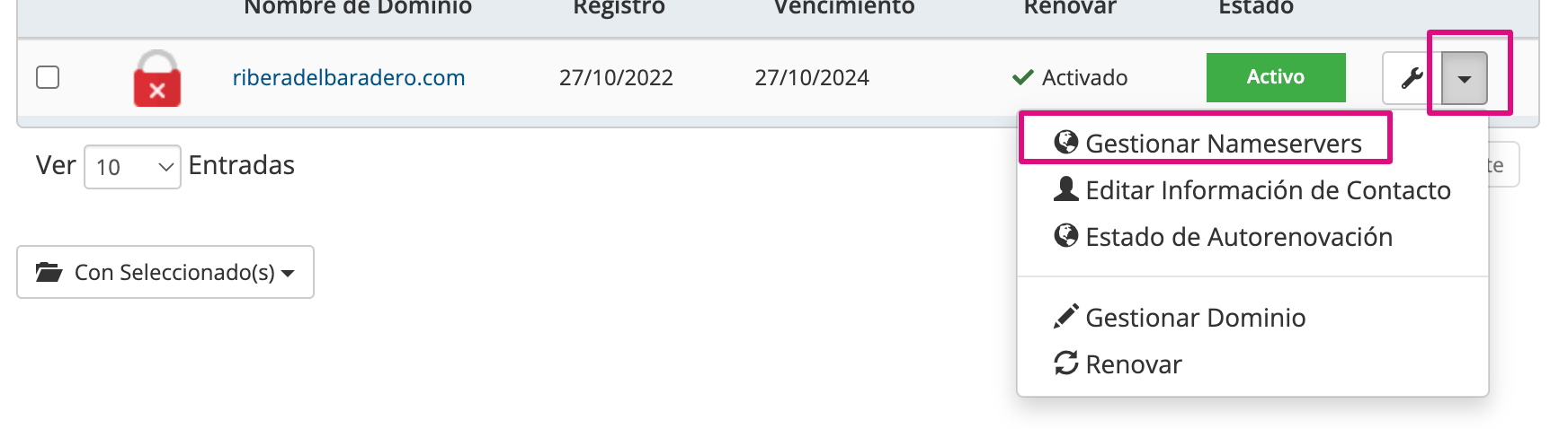 Captura de pantalla para gestionar Nameservers de un dominio