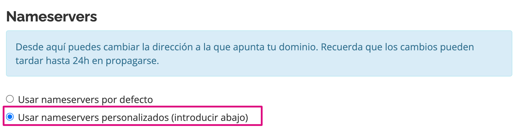 Captura de pantalla seleccionando la opción de nameservers personalizados