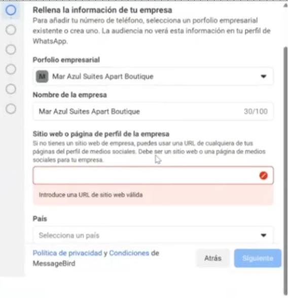 Company Portfolio and Website