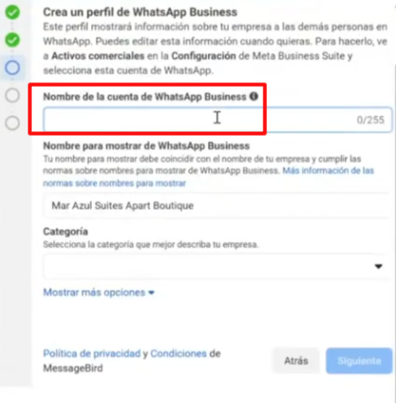 WhatsApp Account Name and Category