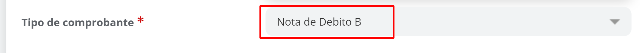 Campo Tipo mostrando la nota de débito correspondiente