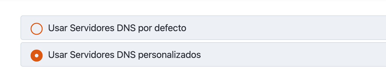 Captura de pantalla para activar DNS personalizados
