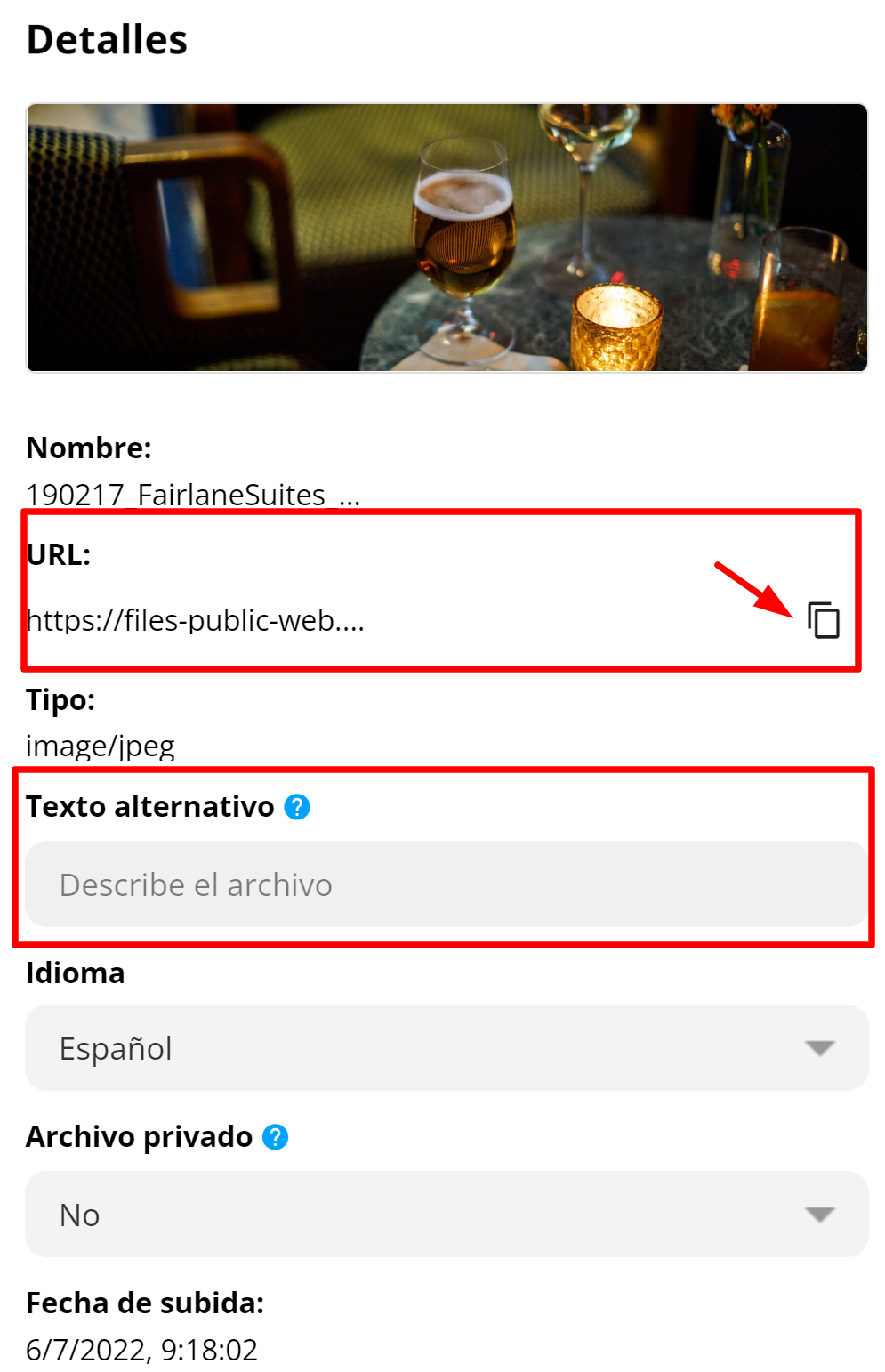 Información detallada de un archivo, incluyendo URL y Texto Alternativo