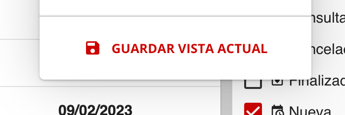 Opción Guardar Vista Actual